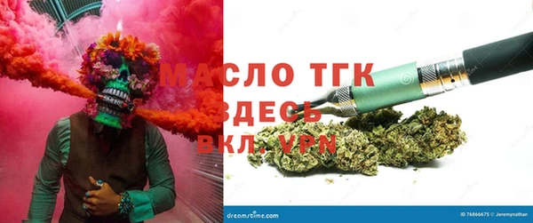 мет Алексин