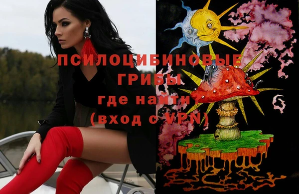 мет Алексин