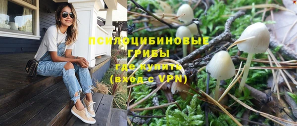СК Алексеевка
