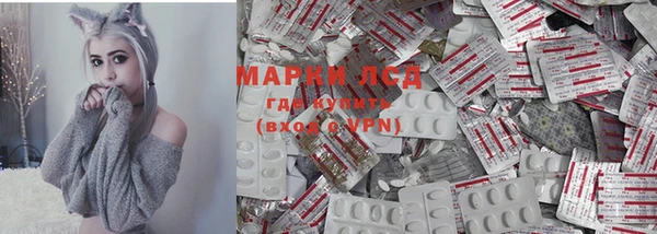 мет Алексин