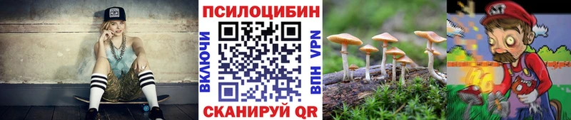 Галлюциногенные грибы прущие грибы  цены   Москва 